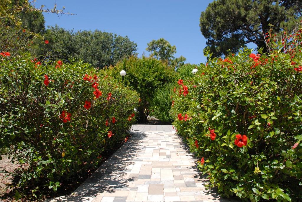 Niki Hotel Apartments Ialysos  Exteriör bild